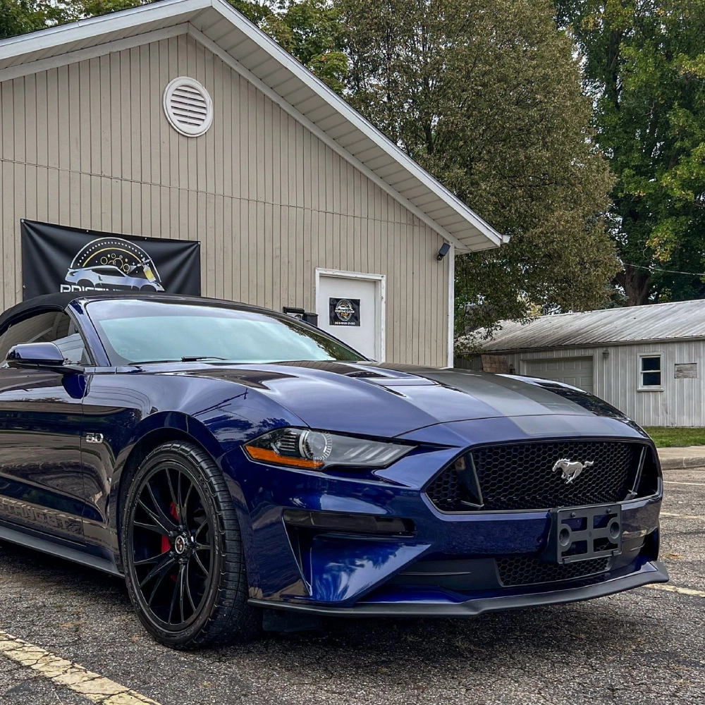 Paint Correction Three Rivers, MI